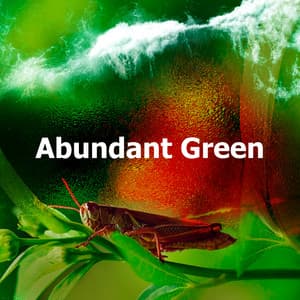 Abundant Green - Picturesque Sound
