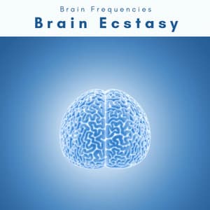Brain Ecstasy - Chakra Waves