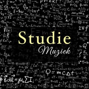Studie Muziek - Rustgevende Muziek - New Age Ontspanning Science