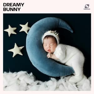 Dreamy Bunny - Classical Lullabies