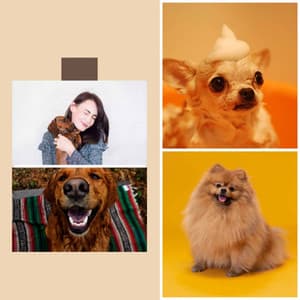 Atmospheric Music for The Relaxed Dog - Trumpet, Soprano Sax, Tenor Sax and Guitar - Relaxing Dog Music Playlists