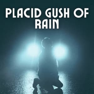 Placid Gush of Rain - Spa Music Legends