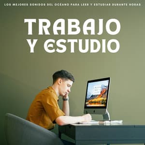 Trabajo Y Estudio: Los Mejores Sonidos Del Océano Para Leer Y Estudiar Durante Horas - Enfoque y trabajo