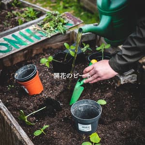 開花のビート - French Cafe Jazz Classics