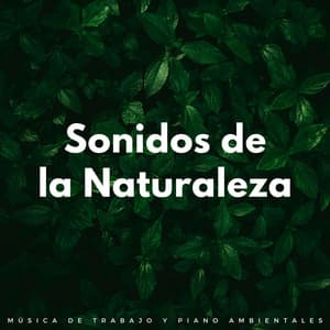 Sonidos De La Naturaleza: Música De Trabajo Y Piano Ambientales - Música de la Naturaleza