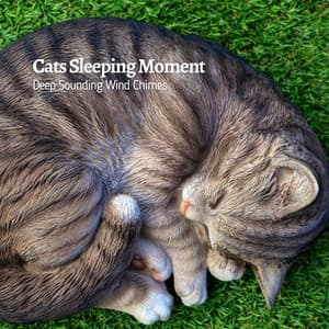 Cats Sleeping Moment: Deep Sounding Wind Chimes - Nature & Sounds Background