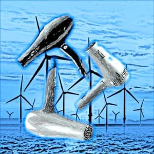 Hair Dryer Collection - Sleep Baby Sleep