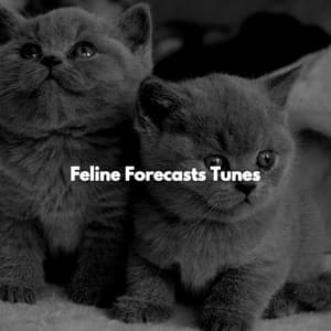 Feline Forecasts Tunes - Relaxing Music for Cats