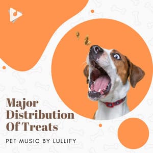 Major Distribution Of Treats - Pet Music by Lullify