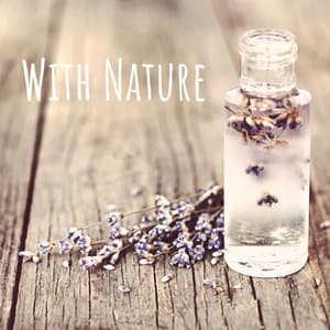 With Nature - Relaxing Rain Library