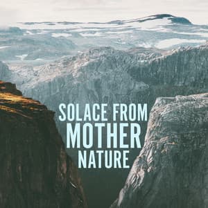 Solace from Mother Nature: Pure Sounds of Nature for Spa, Stress Relieving Treatment for Body and Mind - Tranquility Spa Universe