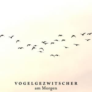 Vogelgezwitscher am Morgen: Beruhigende Klänge zum Entspannen, Naturklänge - Vogelstimmen Sammlung