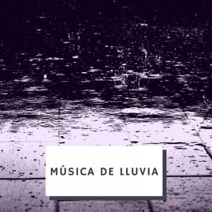 Música De Lluvia - Prince Sereno