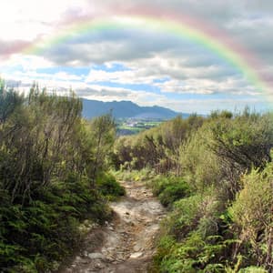 Ethereal Essence: Nature's Melodic Symphony Unveiled - Peaceful Music