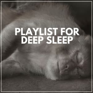 Playlist for Deep Sleep - Crying & Colic Relief