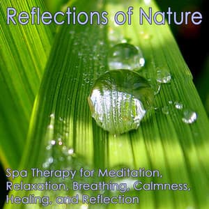 Reflections of Nature: Meditation, Relaxation, Breathing, Calmness, Healing and Reflection - Serenity Sounds