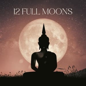 12 Full Moons: Lunar Energy Meditation - Meditation Mantras Guru