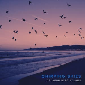Chirping Skies - Calming Bird Sounds