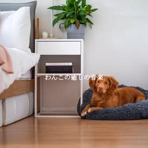 わんこの癒しの音楽 - Easy Listening Instrumental Music