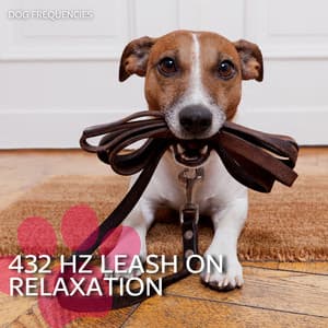 432 Hz Leash on Relaxation - Dog Frequencies