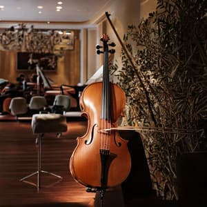 Relaxation Journey: Orchestra Music for Comfort - Music for Well-being