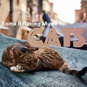 Some Relaxing Music for Cats - Some Cat Music
