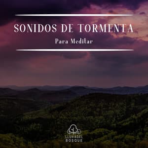 Sonidos de Tormenta para Meditar - Lluvia Del Bosque