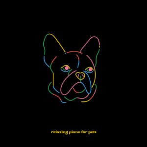 Dog Music - Relaxing Piano For Pets