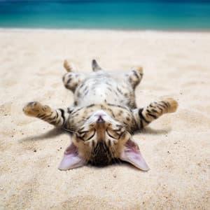 Ambient Cat Bliss on Calm Waters - Moods & Water sounds