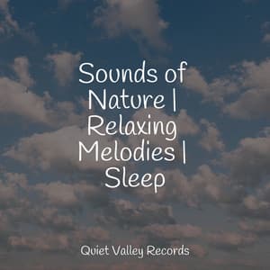 Sounds of Nature | Relaxing Melodies | Sleep - Rest & Relax Nature Sounds