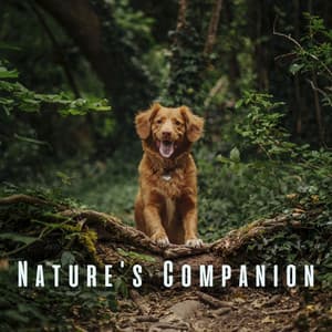 Nature's Companion: Serene Ambient Sounds for Dogs - Nature Label