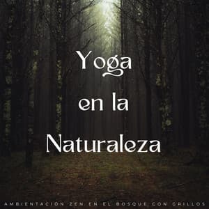 Yoga En La Naturaleza: Ambientación Zen En El Bosque Con Grillos - Radio Sonidos de la Naturaleza