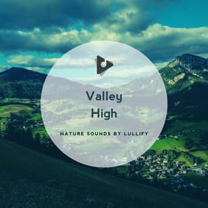 Valley High - Nature Sounds by Lullify
