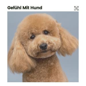 Gefühl mit Hund - Entspannende Musik für Hunde