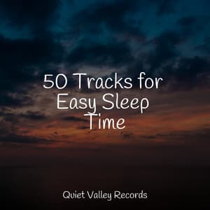 50 Tracks for Easy Sleep Time - Rain Sounds Nature Collection