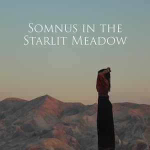 Somnus in the Starlit Meadow - Spiritual Power Control