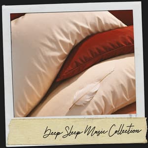 Spa Sleep Music: Melodies for Tranquil Nights - Ruido Blanco Hart