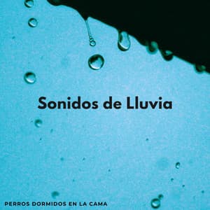 Sonidos De Lluvia: Perros Dormidos En La Cama - Relajarse Lluvia