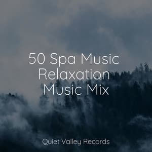 50 Spa Music Relaxation Music Mix - Academia de Meditação Buddha