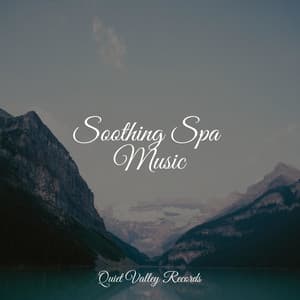 Soothing Spa Music - Pro Sound Effects Library