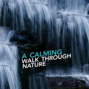 A Calming Walk Through Nature - Soundscapes