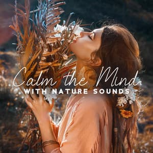 Calm the Mind with Nature Sounds - Relaxing Nature Sounds Collection