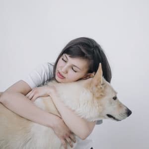 Feelings for Calming Your Puppy - Relaxing Dog Music Radio