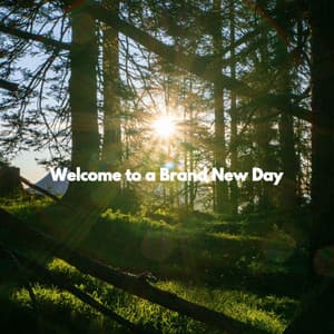 Welcome to a Brand New Day - Chill Vibes