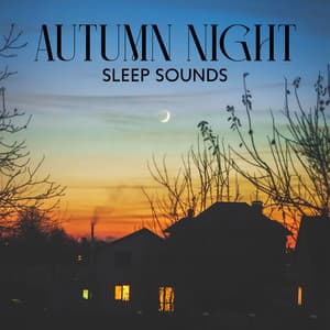 Autumn Night Sleep Sounds: Calming Music for Sleep, Stress Relief, Music to Cure Insomnia - Sleep & Dream Academy