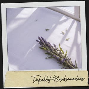 Spa-Schlafmusik: Wiegenlied der Gelassenheit - Dog Relaxation