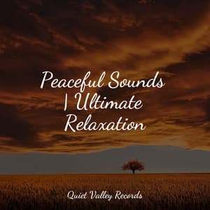 Peaceful Sounds | Ultimate Relaxation - Rain Sound Plus