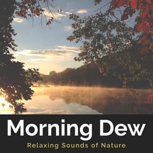Morning Dew - Relaxing Sounds Of Nature