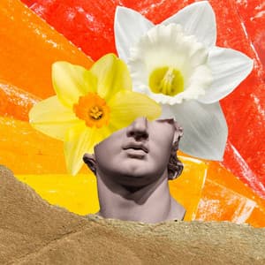 Scintillating Latin Guitar - Bgm for Peaceful Melodies - Playlist for Nighttime Calm