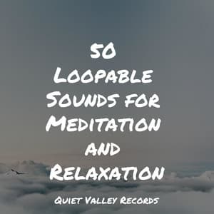 50 Loopable Sounds for Meditation and Relaxation - Mindfulness Meditation Universe